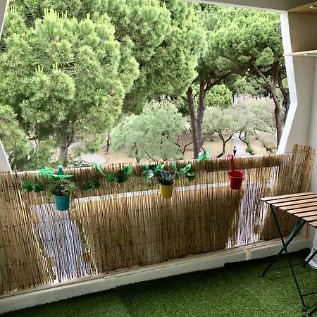 Studio Centre 2 Pers - Motte A Proximite Immediate De La Mer